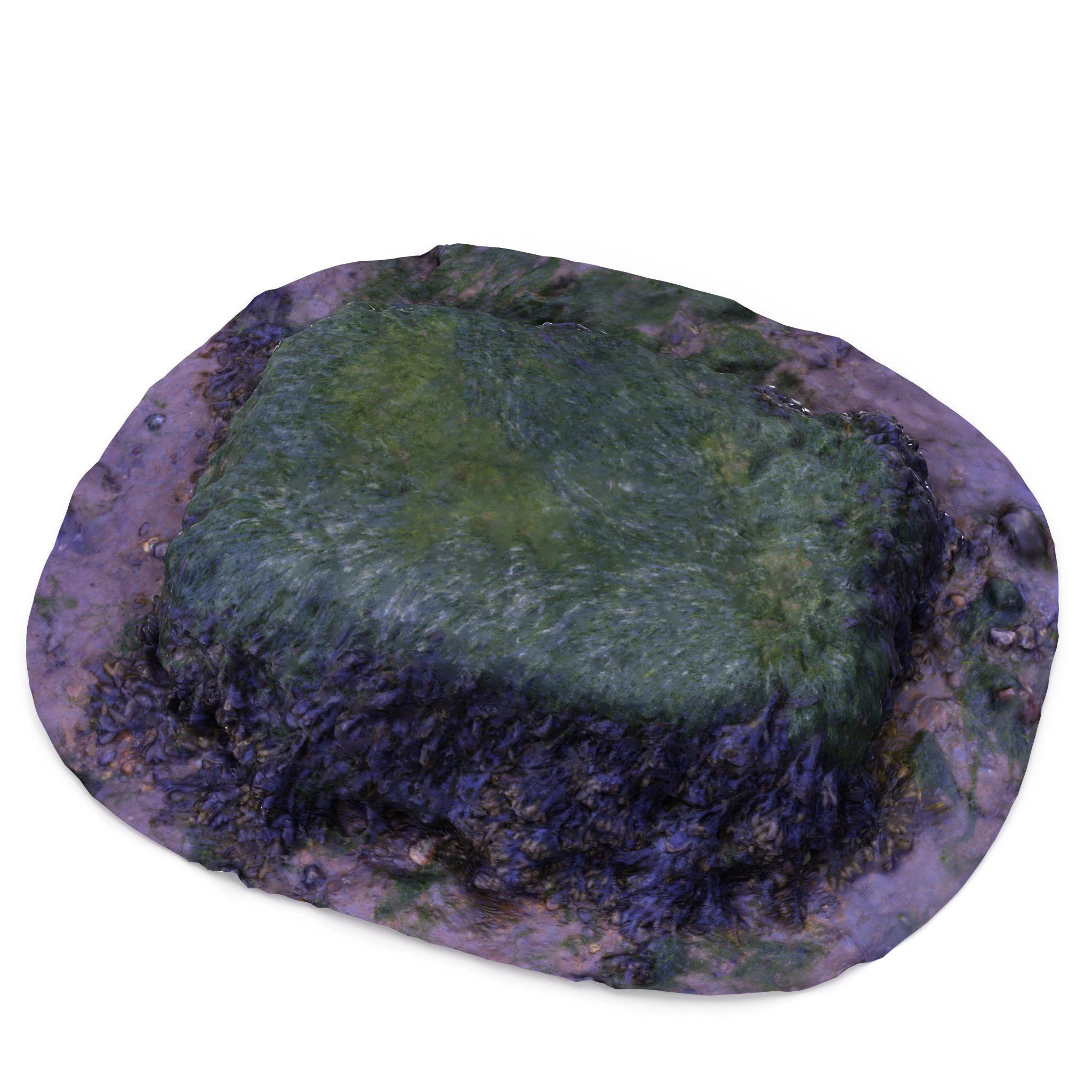 Seaweed Rock - High and Low Poly Versions Low-poly 3D model_4