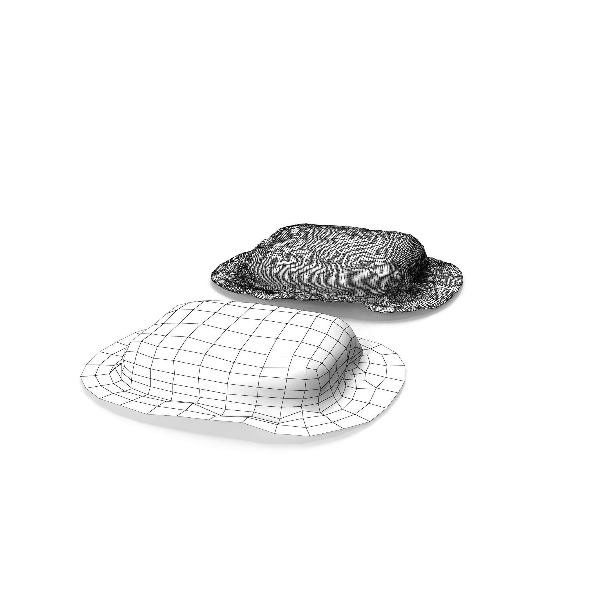 Seaweed Rock - High and Low Poly Versions Low-poly 3D model_9