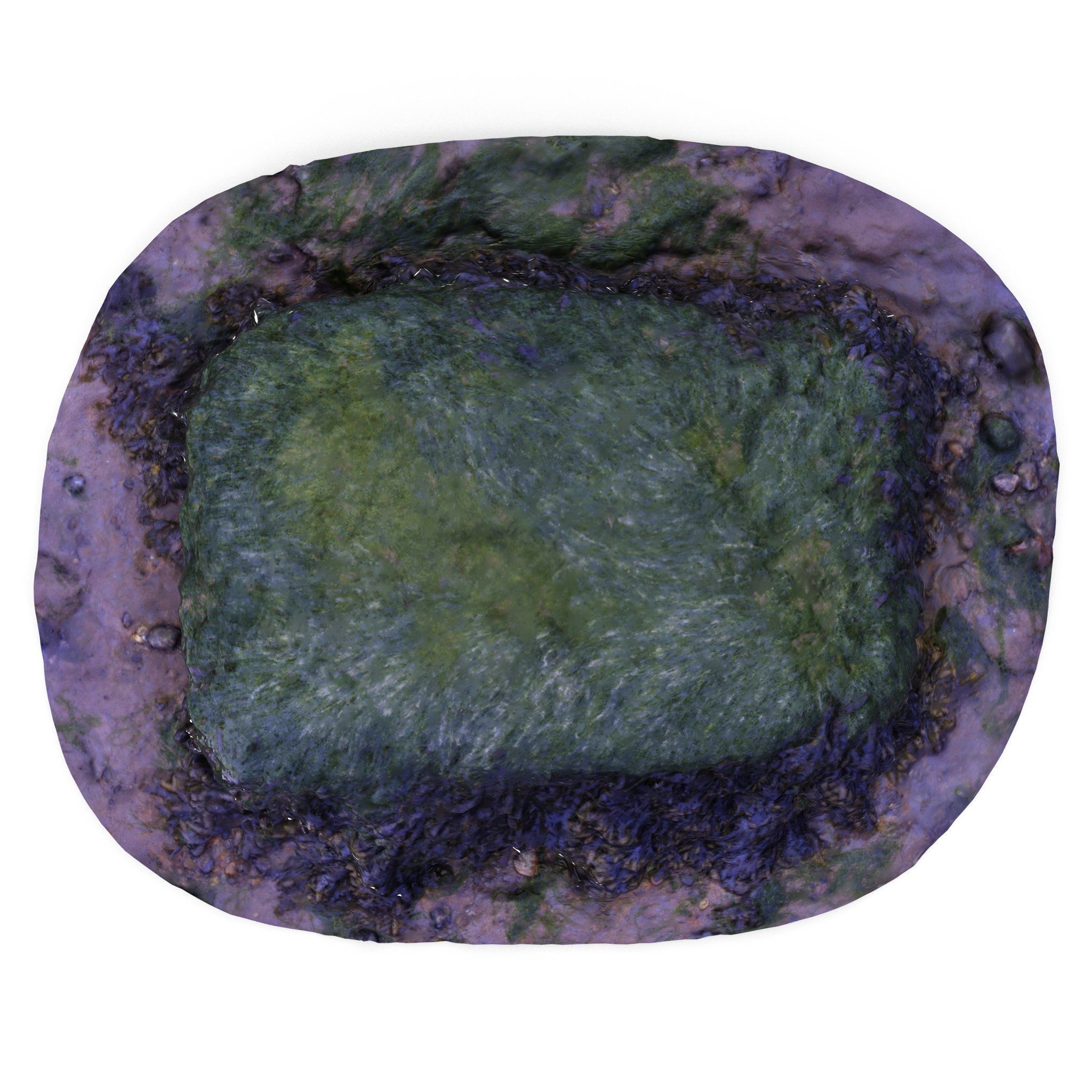 Seaweed Rock - High and Low Poly Versions Low-poly 3D model_1