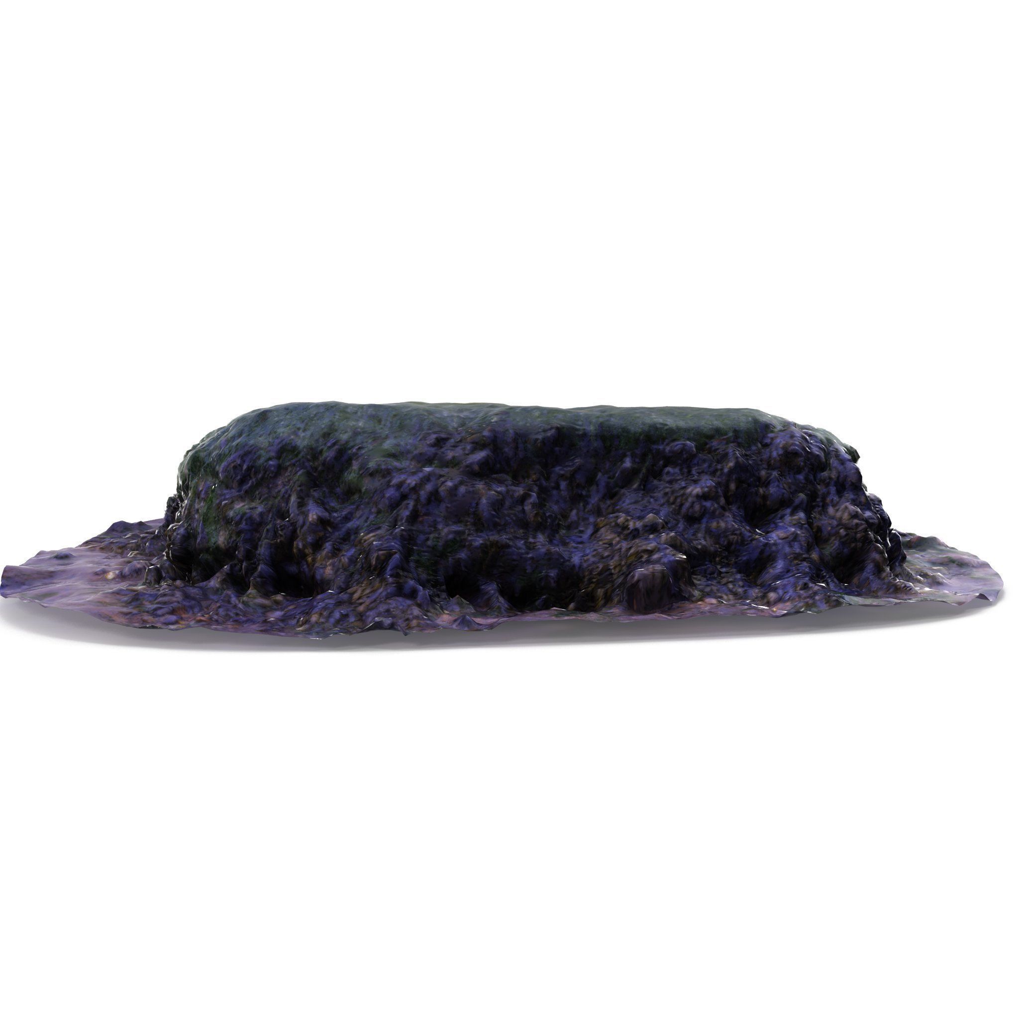 Seaweed Rock - High and Low Poly Versions Low-poly 3D model_6