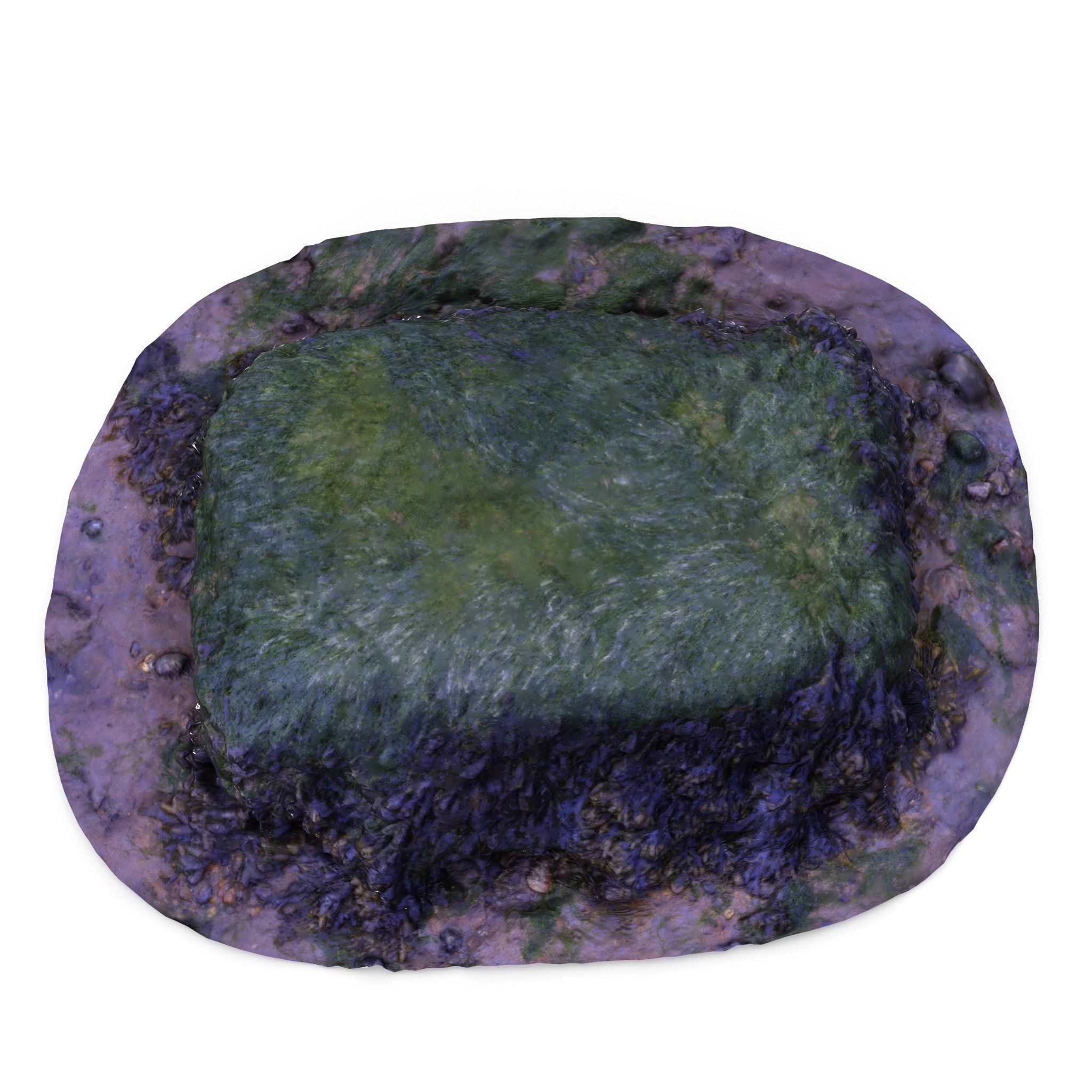 Seaweed Rock - High and Low Poly Versions Low-poly 3D model_5