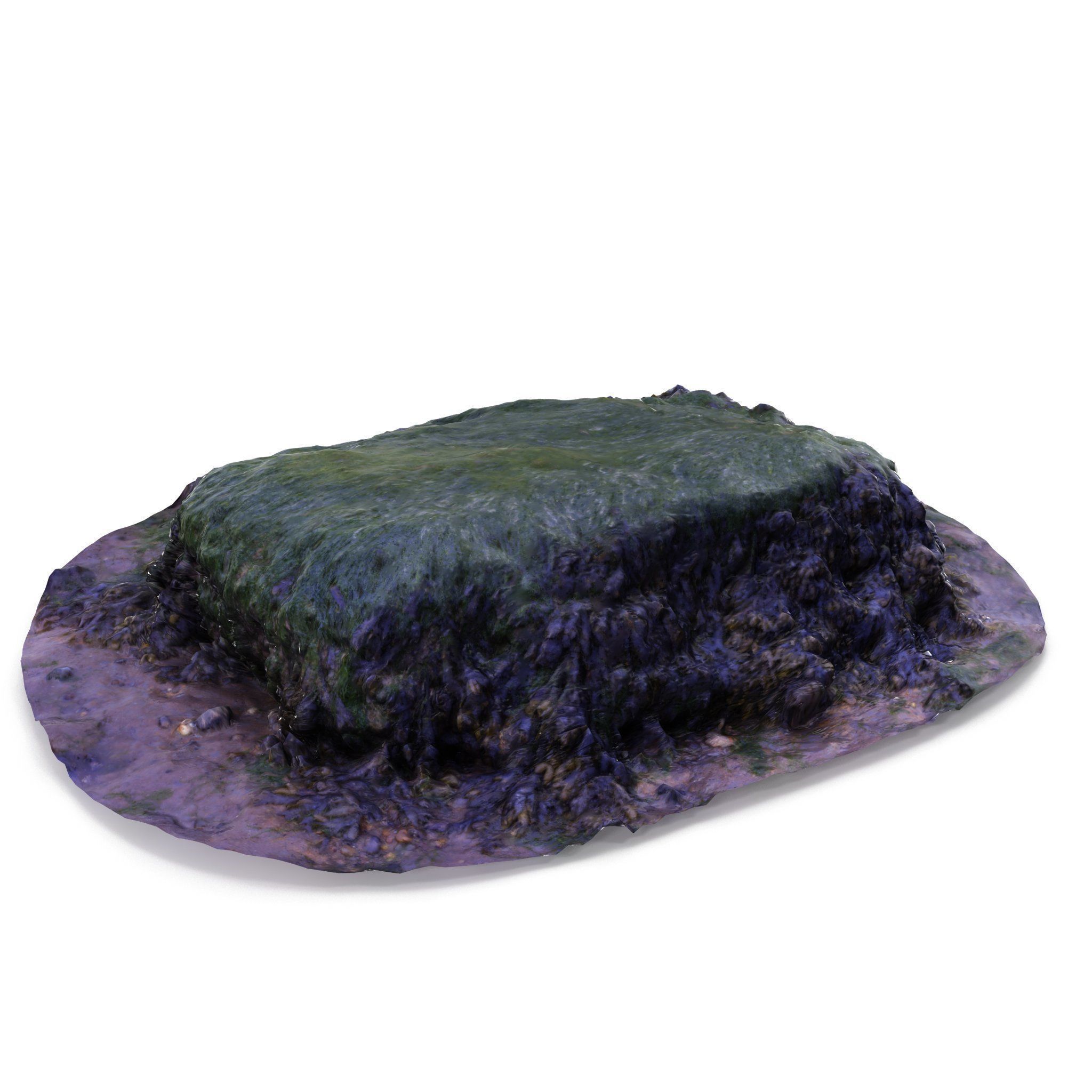 Seaweed Rock - High and Low Poly Versions Low-poly 3D model_3