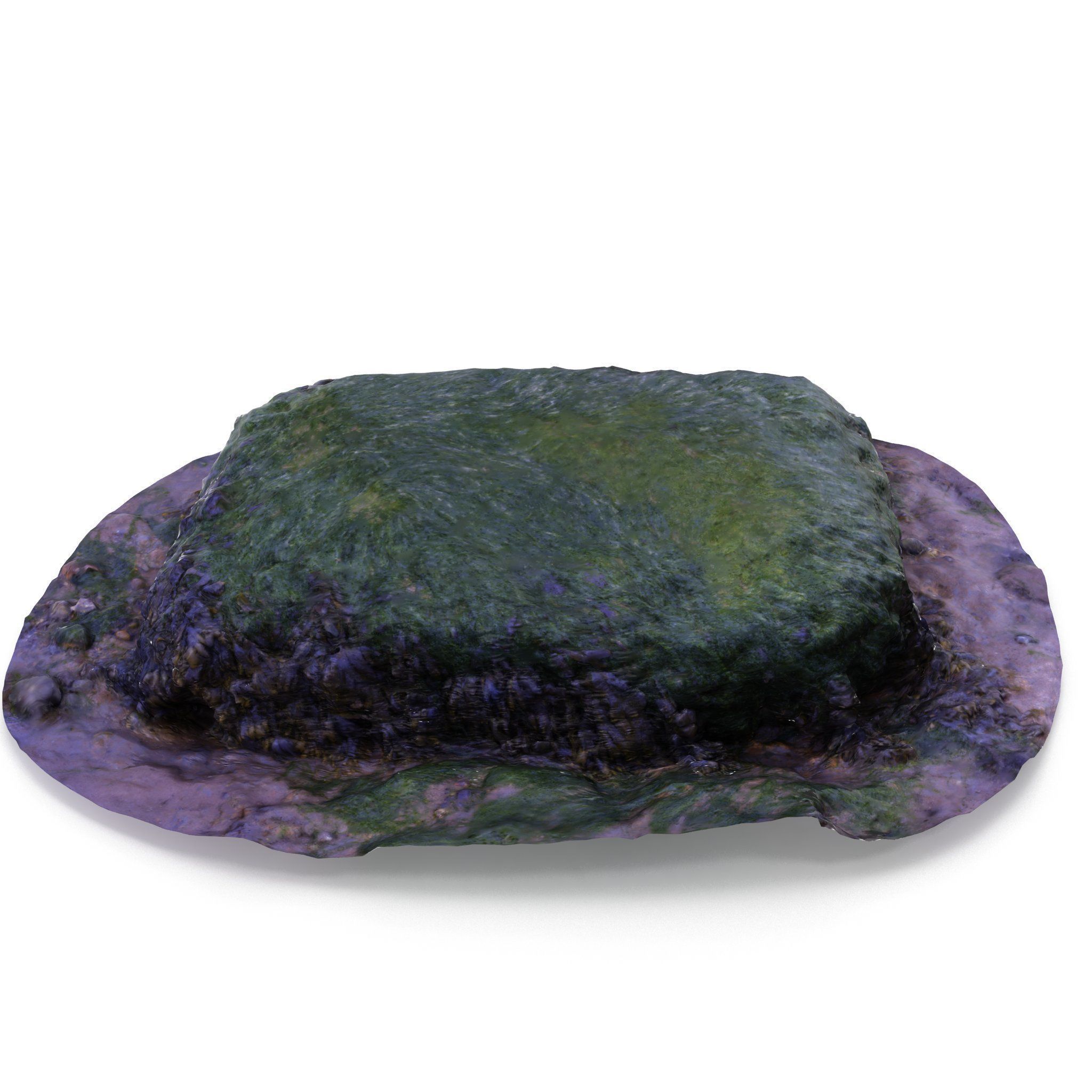 Seaweed Rock - High and Low Poly Versions Low-poly 3D model_2
