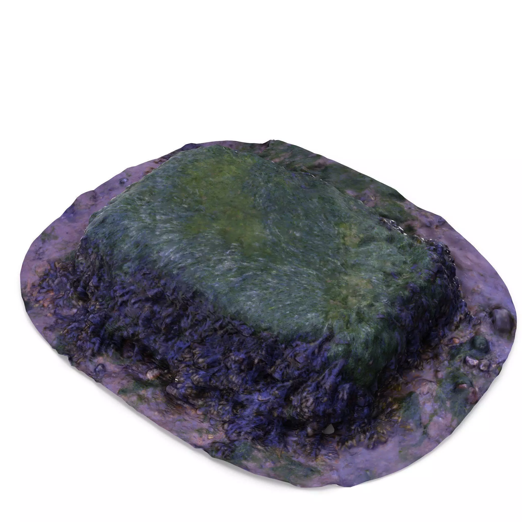 Seaweed Rock - High and Low Poly Versions Low-poly 3D model_0