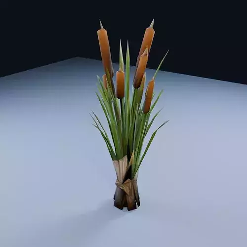 Blank Oasis Cattail Cluster Low Poly PBR Game Asset