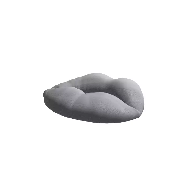 Pulpous lips 3D print model