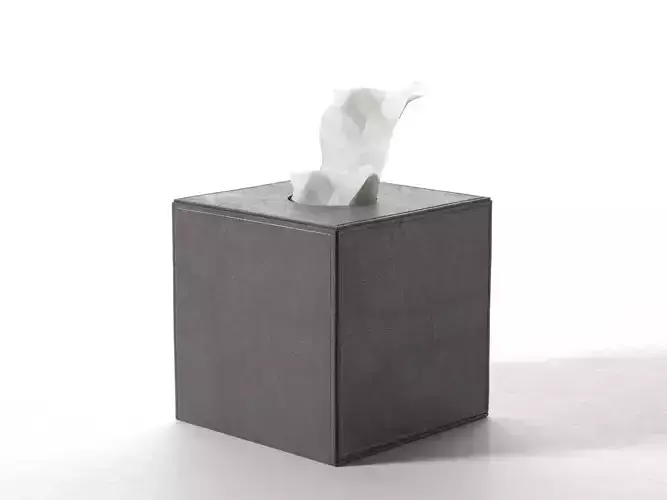 Leather Tissue Box Square 3D model