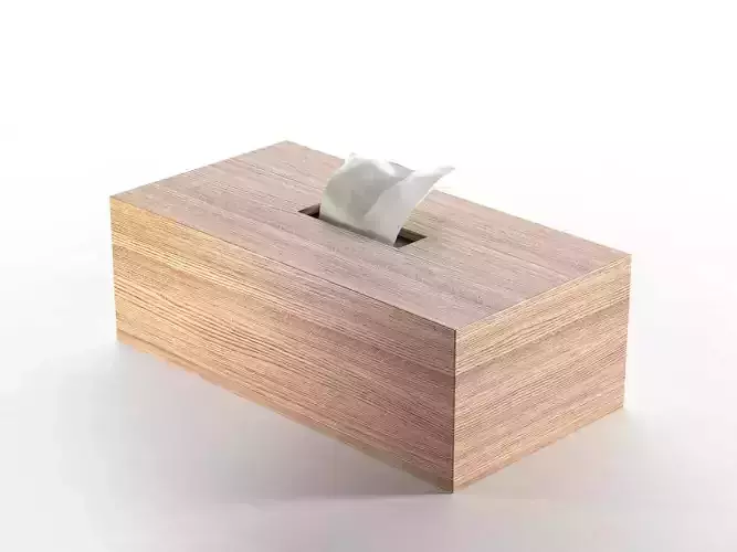 Rectangle Tissue Boxes 3D model