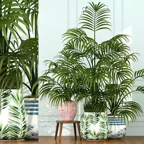 Plants collection 51