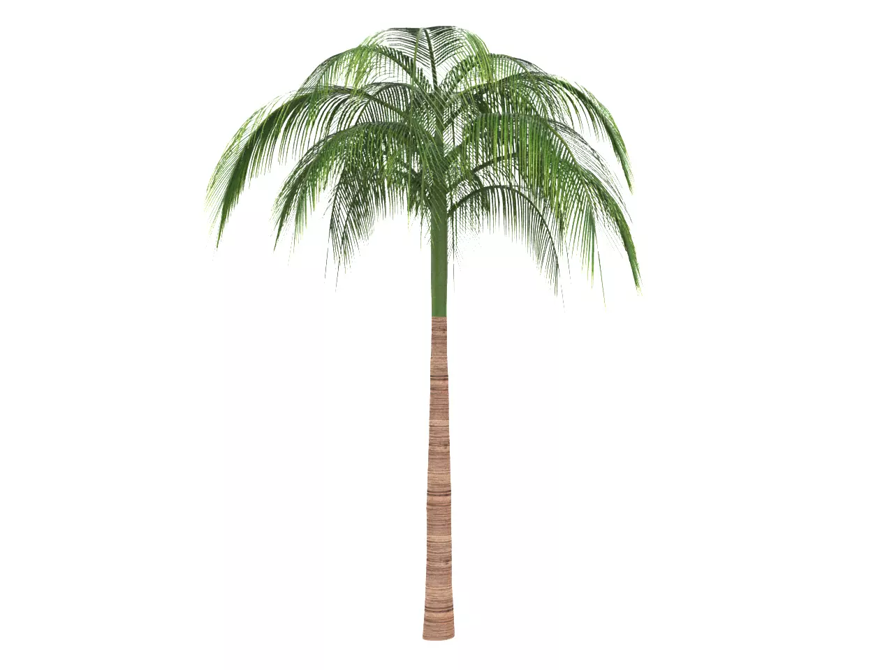 NMA Tree 002-4 Low-poly 3D model