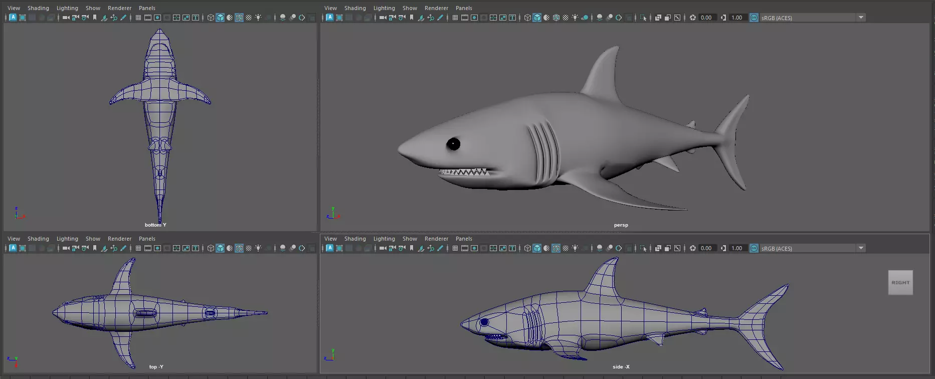 Shark Free low-poly 3D model