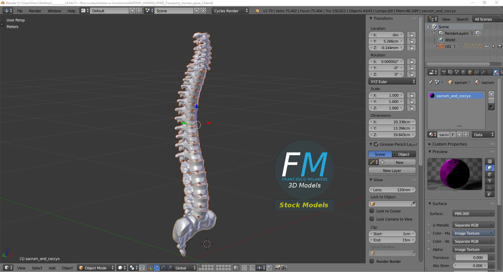 Anatomy - Human spine 2 3D model_9