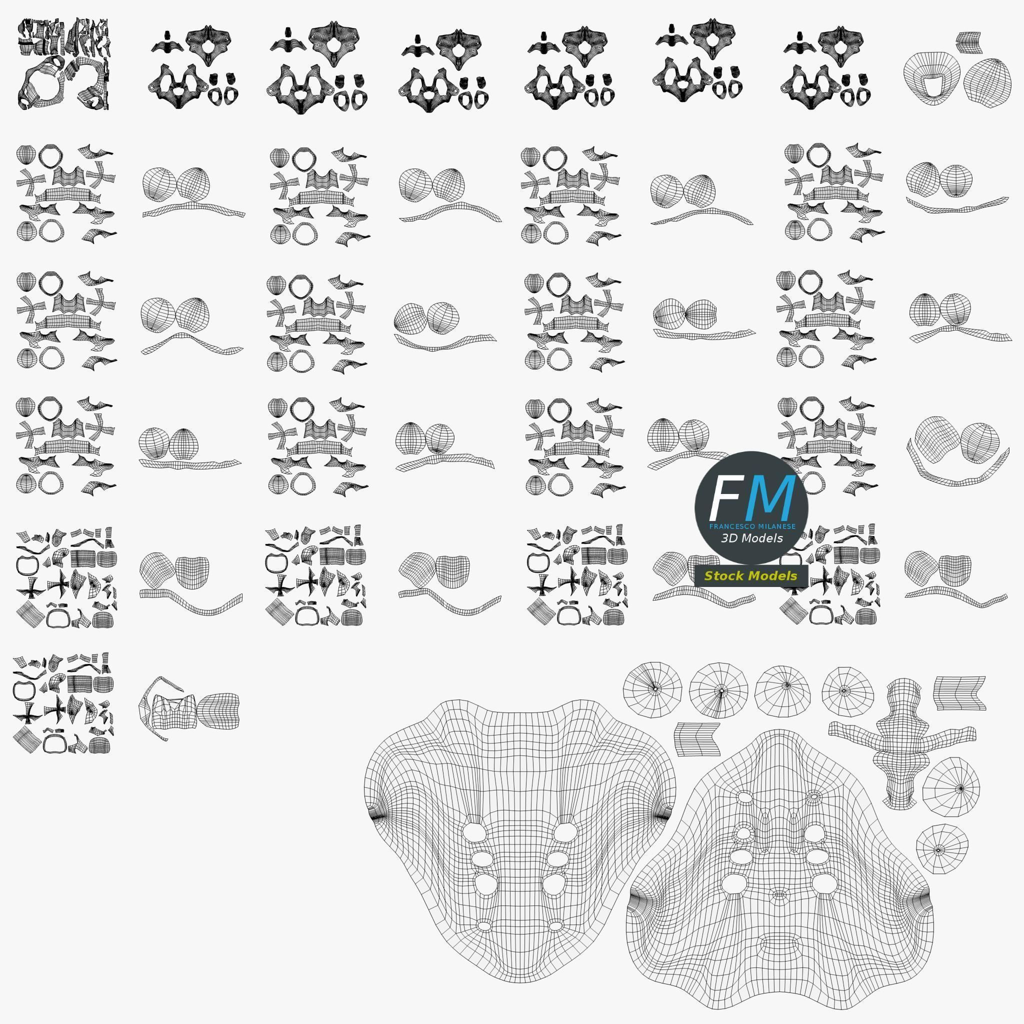 Anatomy - Human spine 2 3D model_11