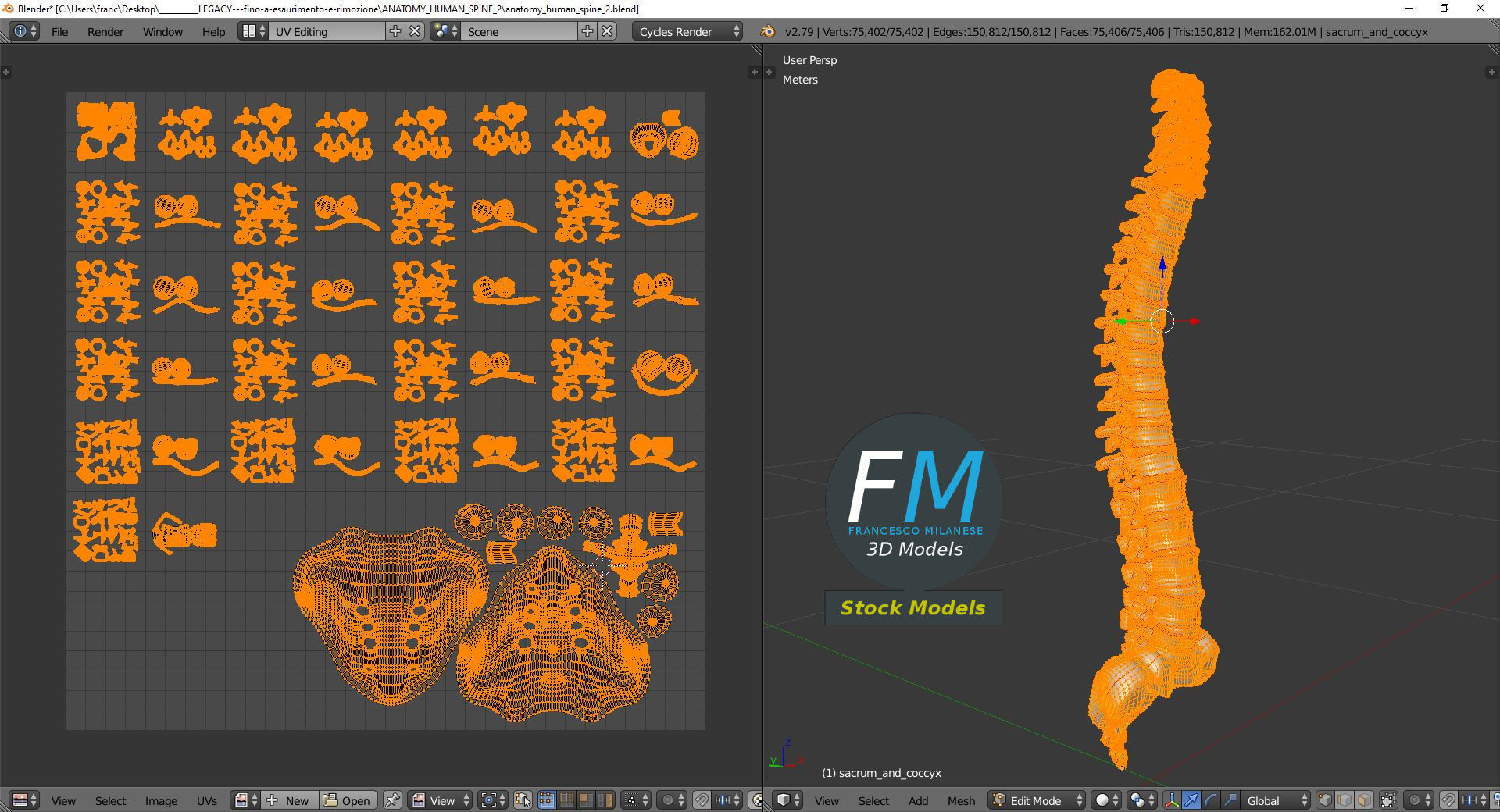 Anatomy - Human spine 2 3D model_10