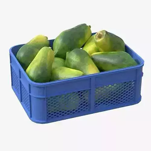 Papaya Plastic Crate Low-poly 3D model 6