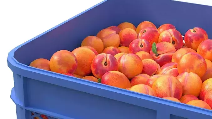 Peach Plastic Crate Low-poly 3D model 4