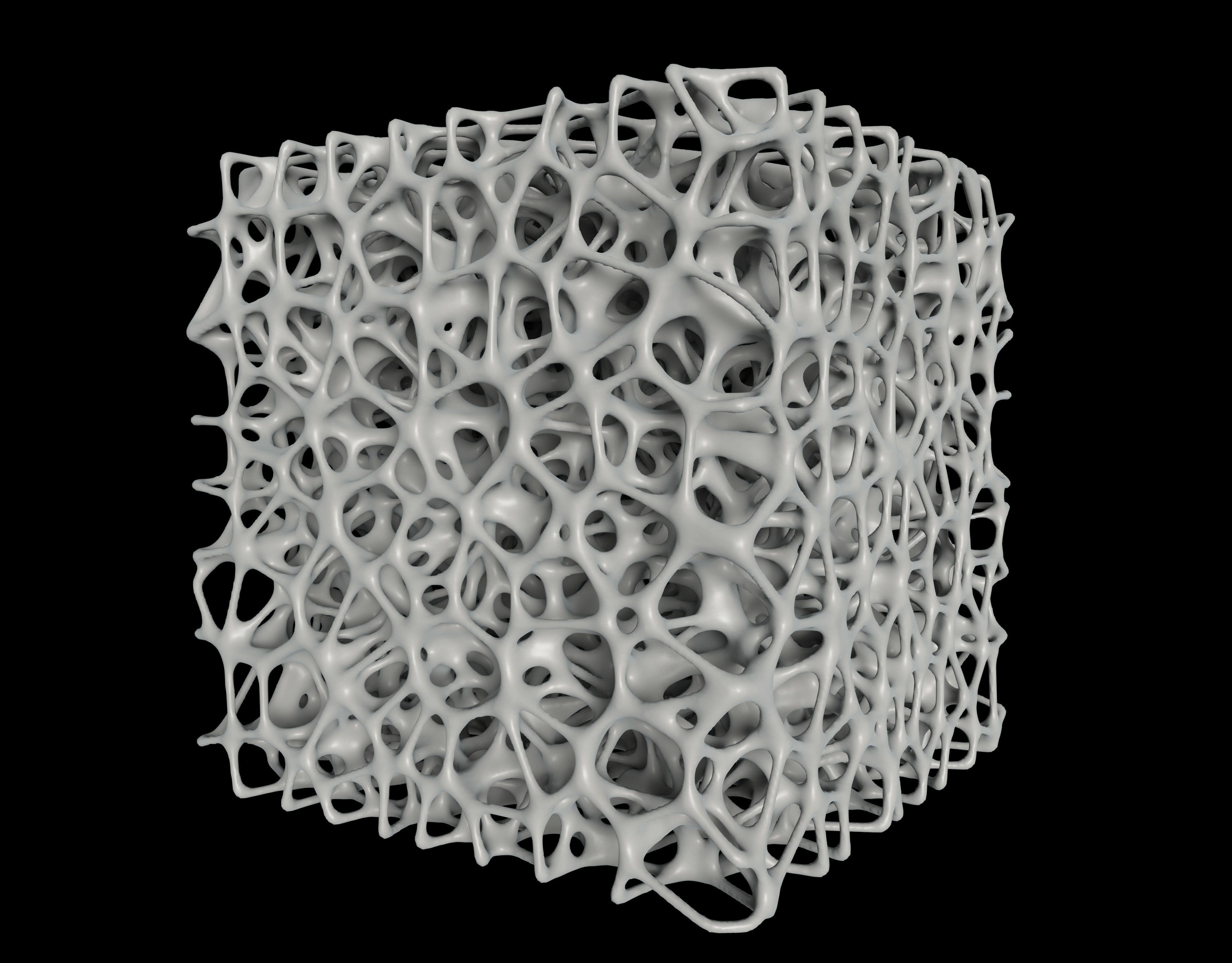Bone Sponge Structure 3D model_1