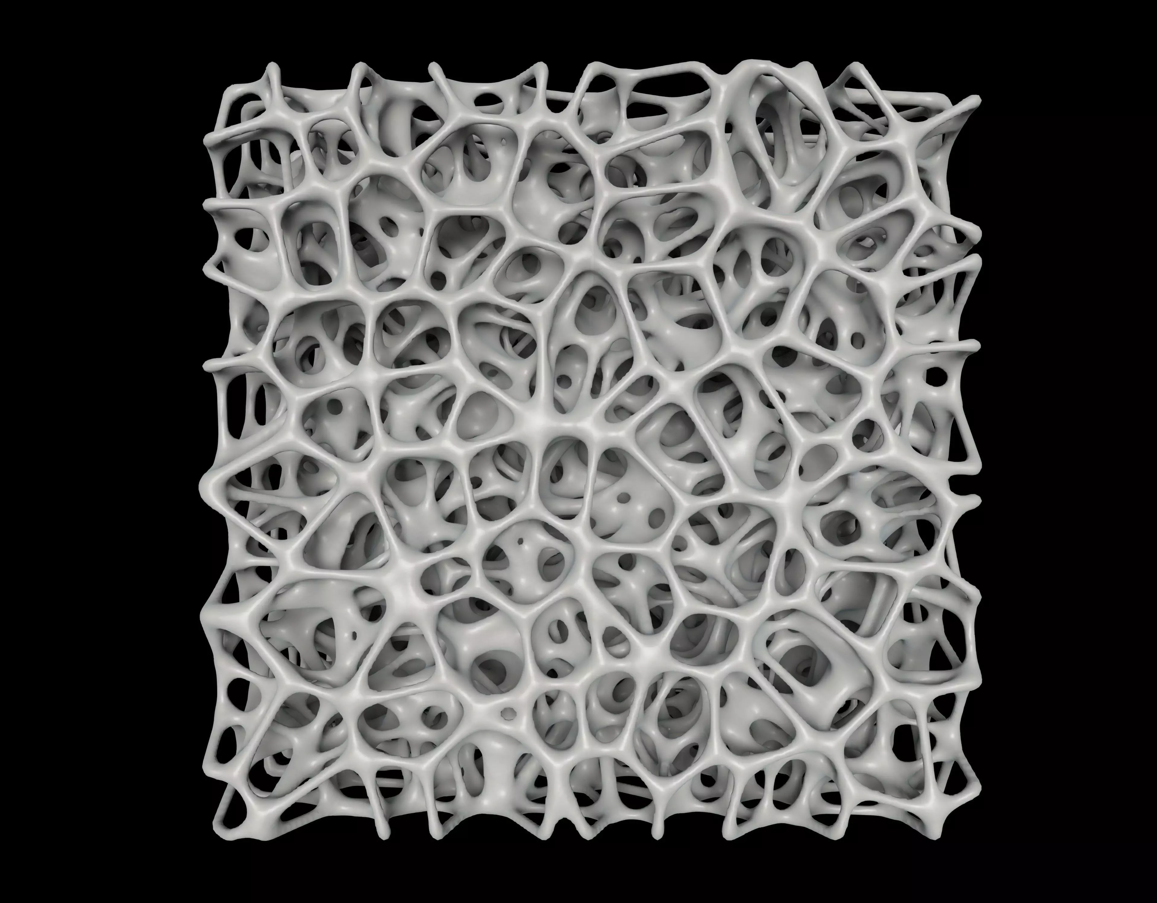 Bone Sponge Structure 3D model_0