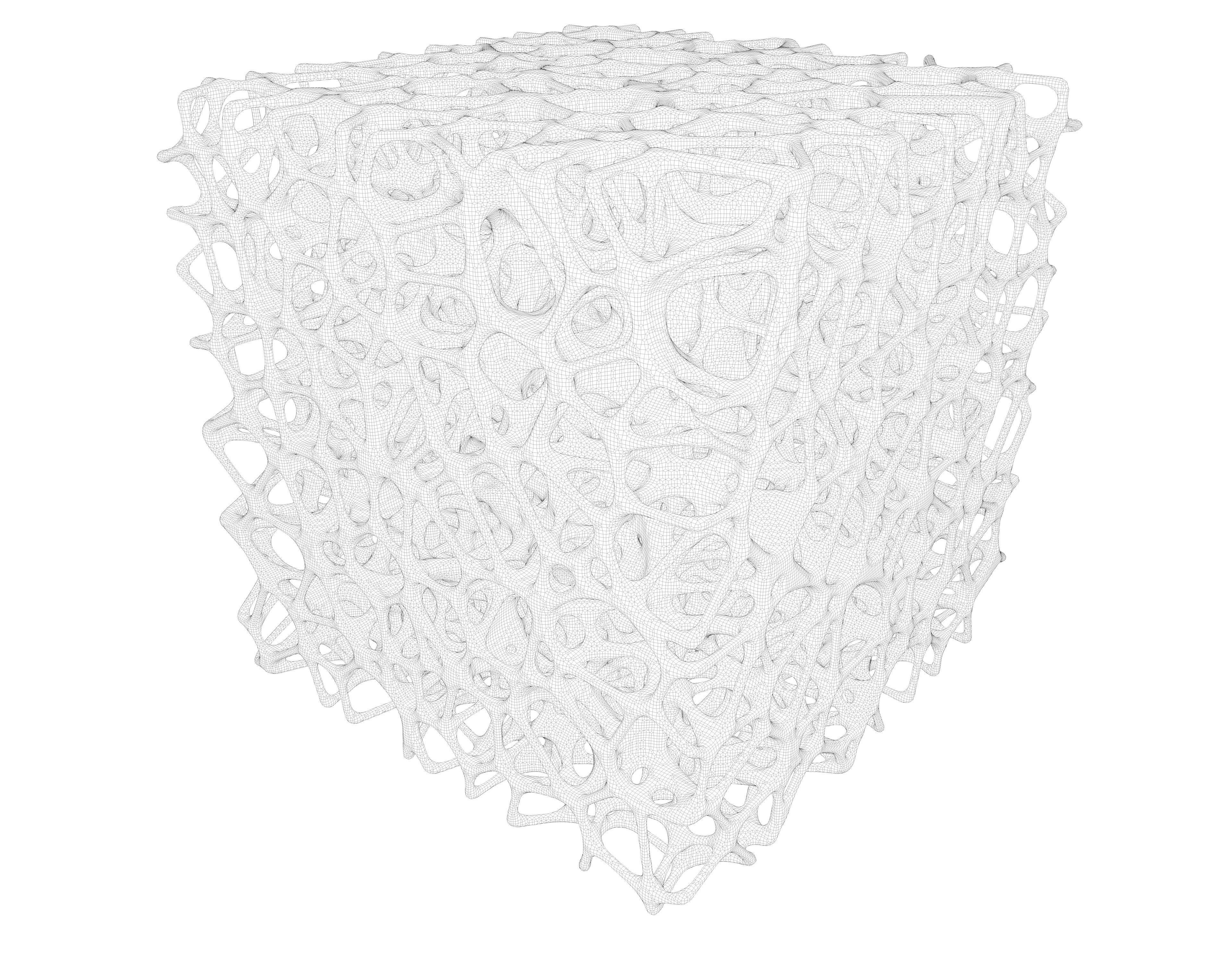 Bone Sponge Structure 3D model_5