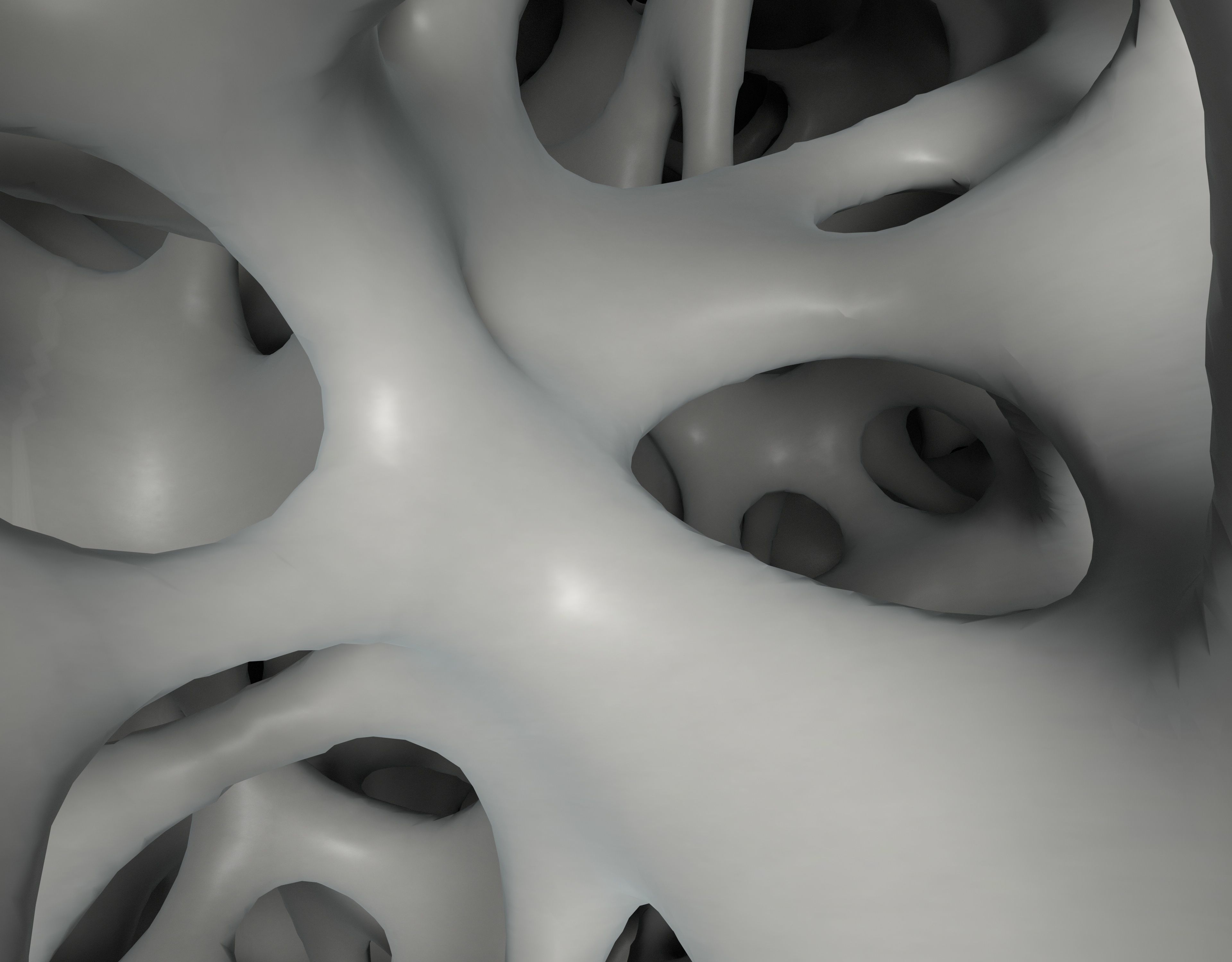 Bone Sponge Structure 3D model_2