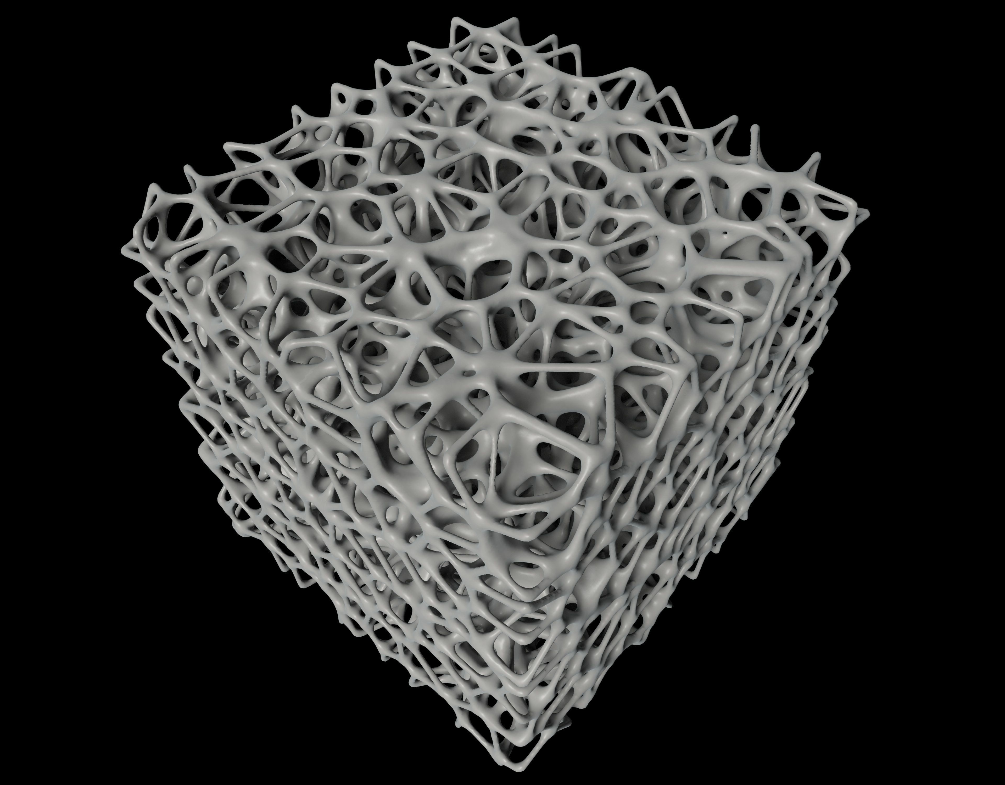Bone Sponge Structure 3D model_4