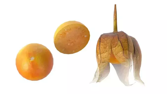 Physalis Fruit Low-poly 3D model 3