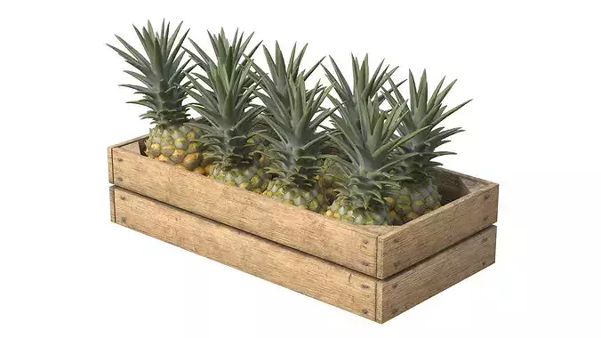 Pineapple Wooden Crate Low-poly 3D model 2