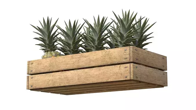 Pineapple Wooden Crate Low-poly 3D model 3