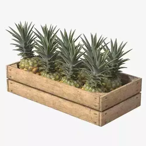Pineapple Wooden Crate Low-poly 3D model 6