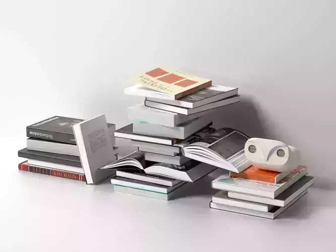 Stacks of Books with Howdy Owl Figure 3D model