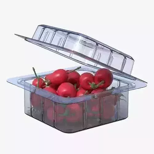 Rosehip Fruit Box Plastic Transparent Low-poly 3D model 6