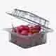 Rosehip Fruit Box Plastic Transparent Low-poly 3D model 7