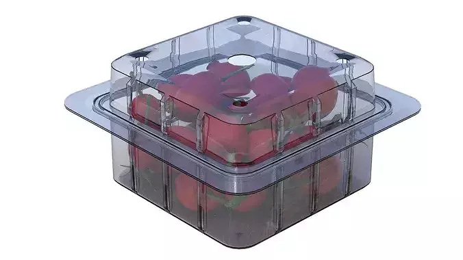Rosehip Fruit Box Plastic Transparent Low-poly 3D model 5
