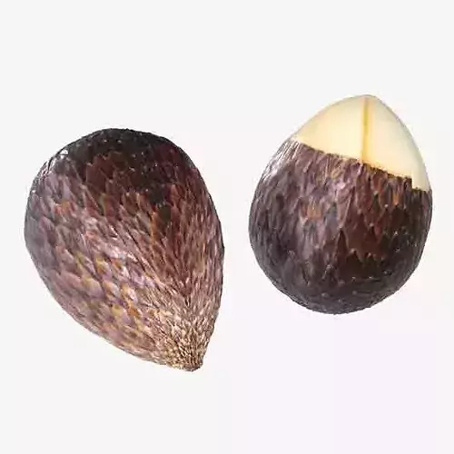 Salak Fruit Low-poly 3D model 6
