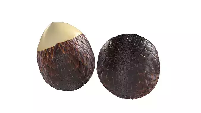 Salak Fruit Low-poly 3D model 3