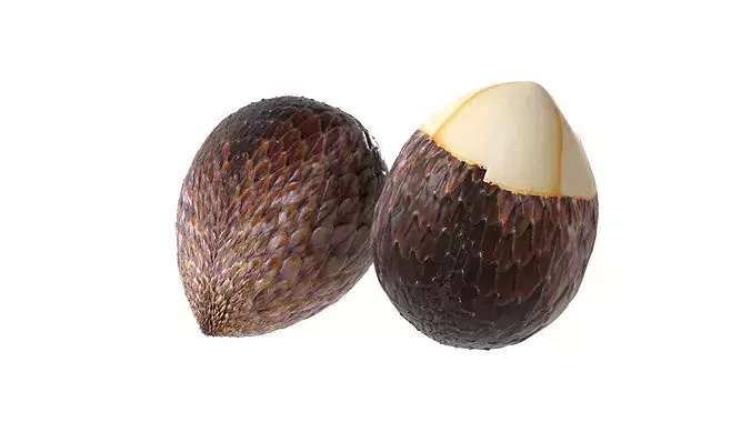 Salak Fruit Low-poly 3D model 2