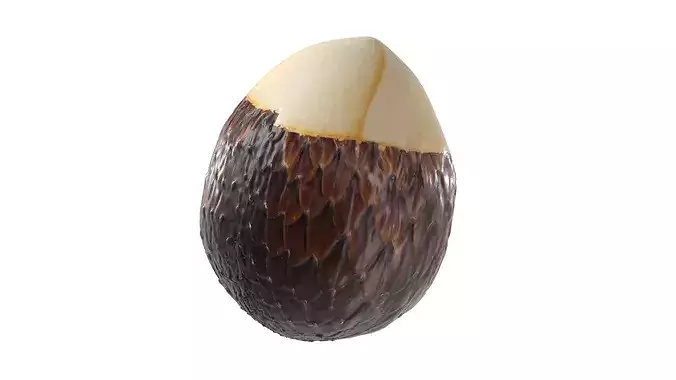Salak Fruit Low-poly 3D model 5