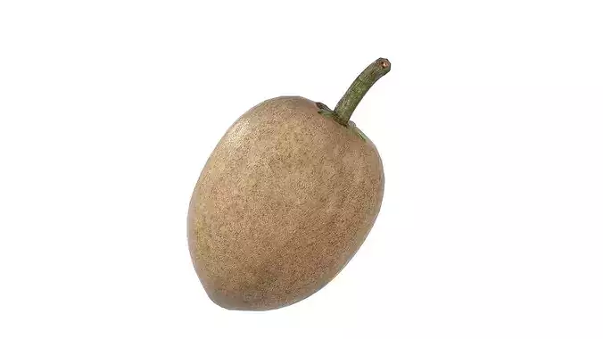 Sapodilla Fruit Low-poly 3D model 4