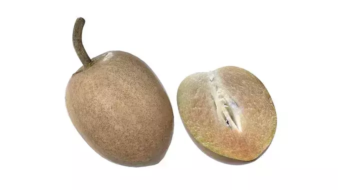 Sapodilla Fruit Low-poly 3D model