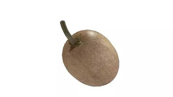 Sapodilla Fruit Low-poly 3D model 5