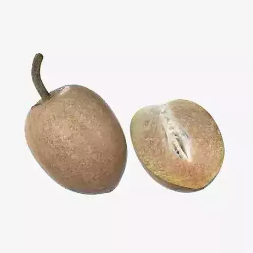 Sapodilla Fruit Low-poly 3D model 6