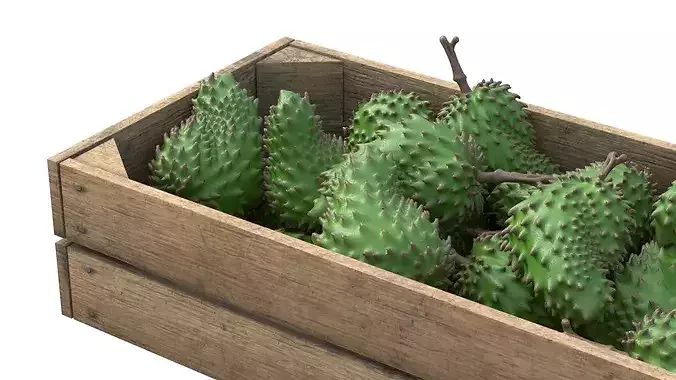 Soursop Wooden Crate Low-poly 3D model 4