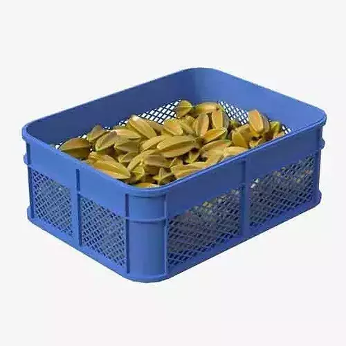 Starfruit Plastic Crate Low-poly 3D model 6