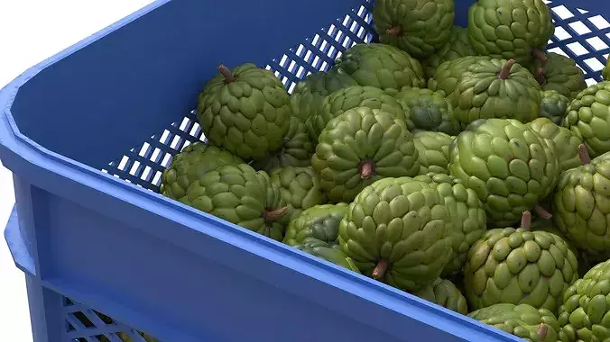 Sugar Apple Plastic Crate Low-poly 3D model 4