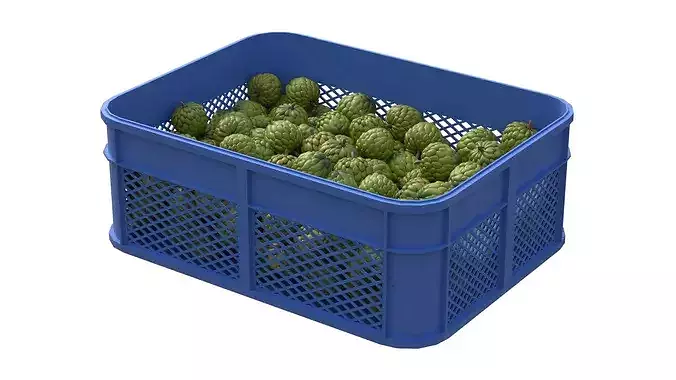 Sugar Apple Plastic Crate Low-poly 3D model 2