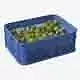 Sugar Apple Plastic Crate Low-poly 3D model 7