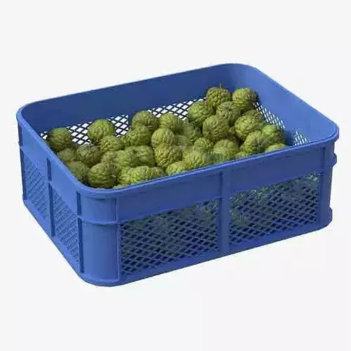 Sugar Apple Plastic Crate Low-poly 3D model 6