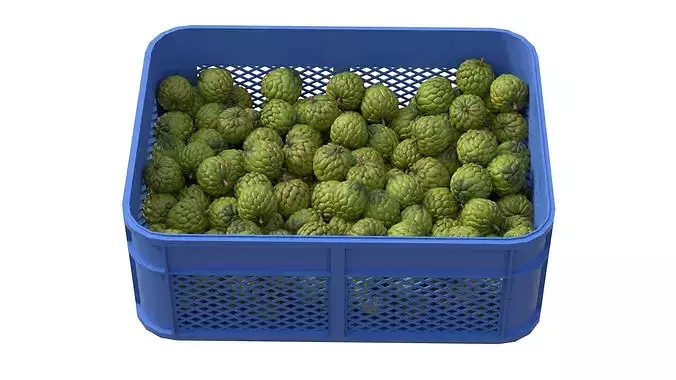 Sugar Apple Plastic Crate Low-poly 3D model 3