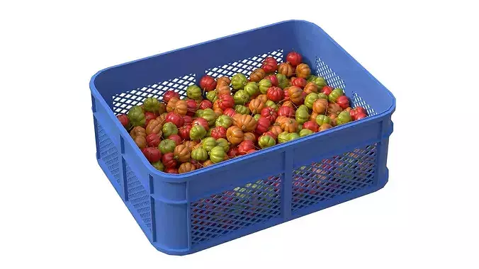 Surinam Cherry Plastic Crate Low-poly 3D model