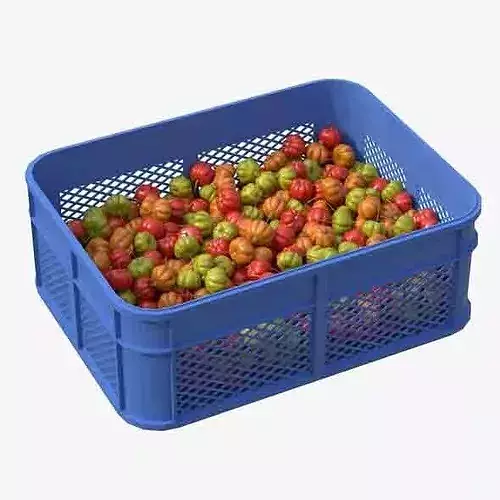 Surinam Cherry Plastic Crate Low-poly 3D model 6